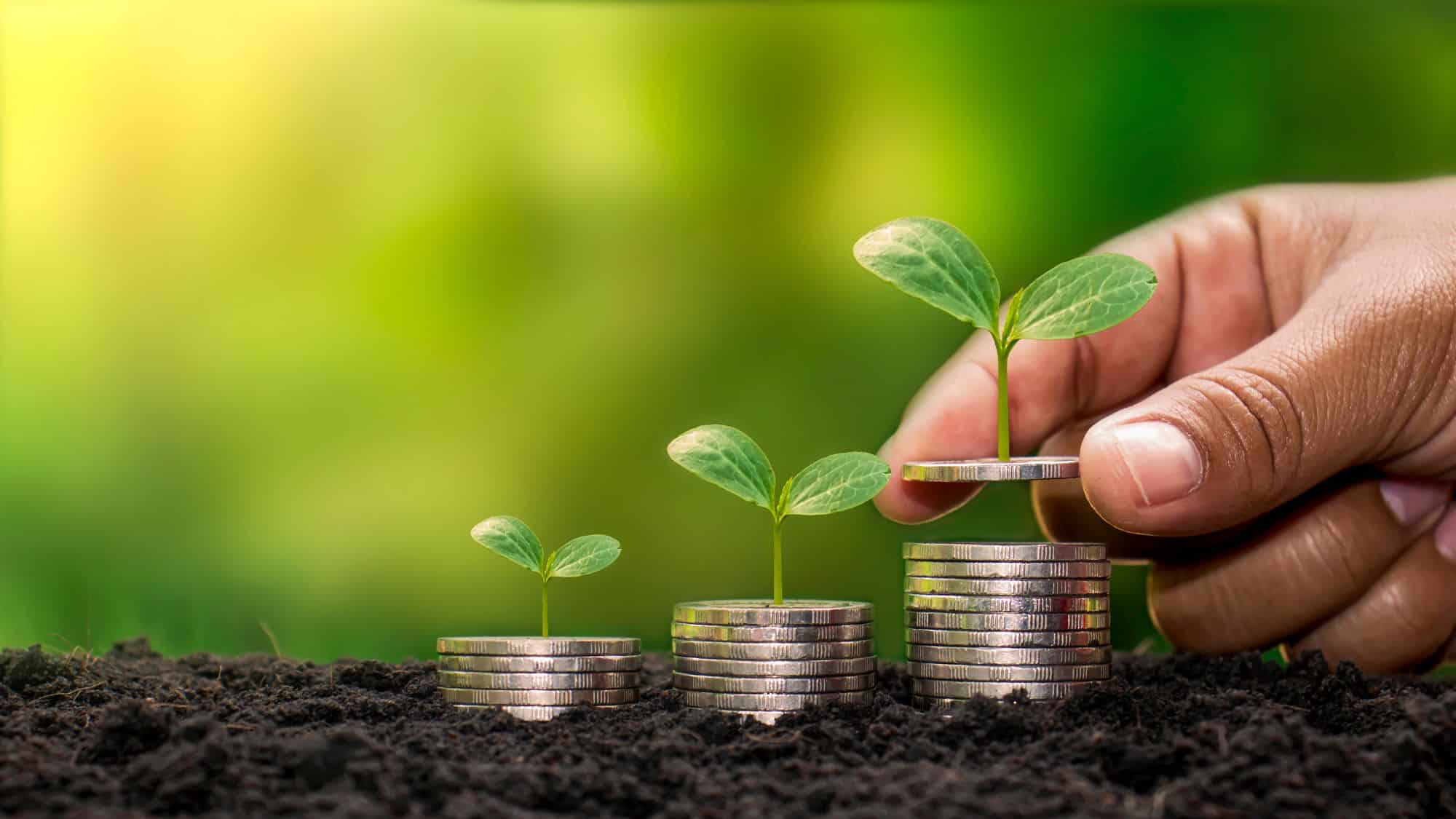 5-reasons-you-should-be-using-a-capital-campaign-microsite